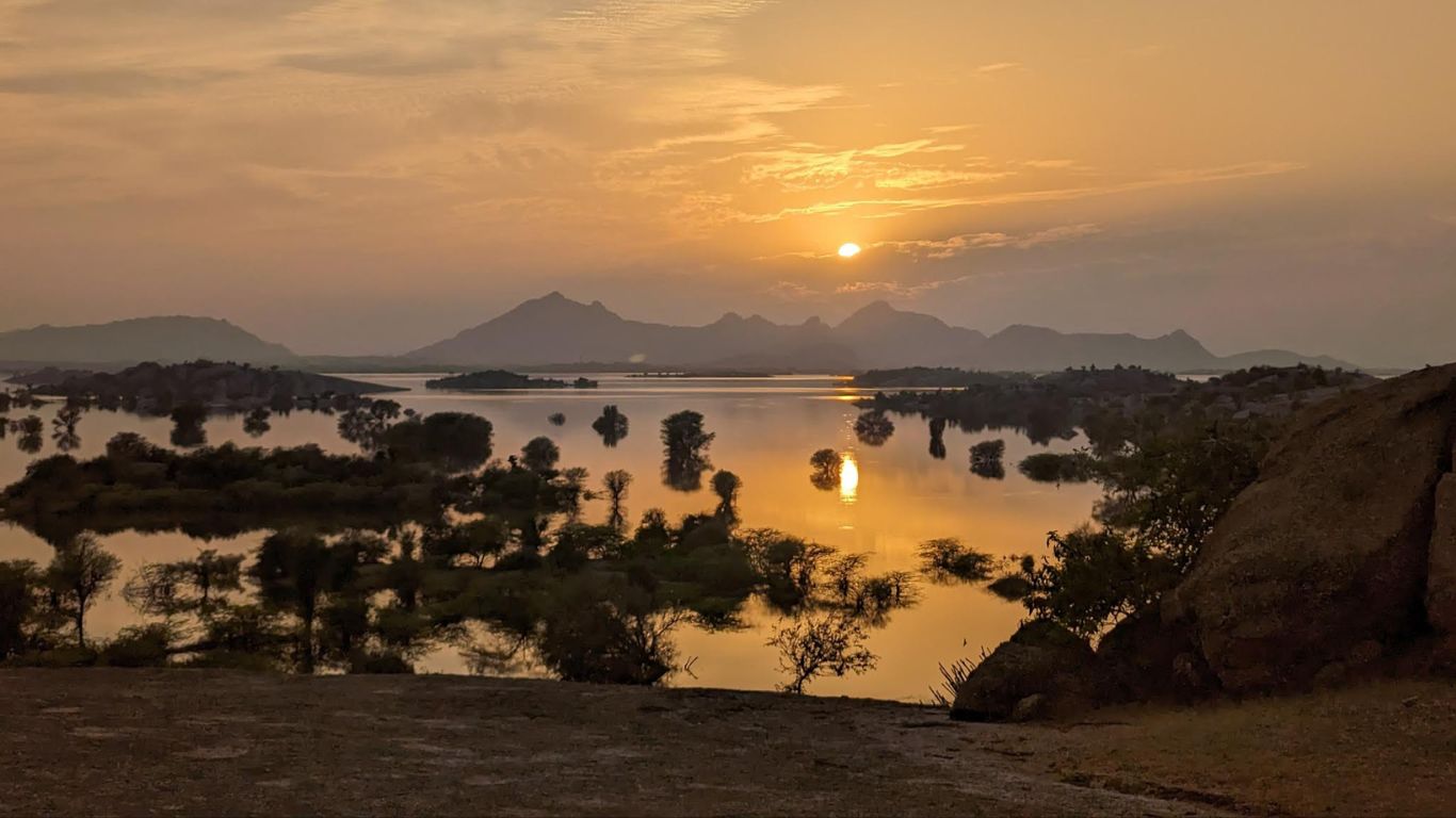 Jawai Leopard Safari